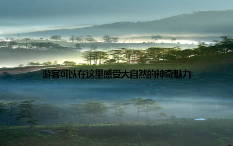 游客可以在这里感受大自然的神奇魅力