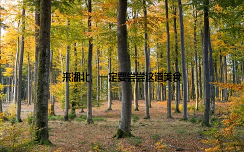 来湖北, 一定要尝尝这道美食