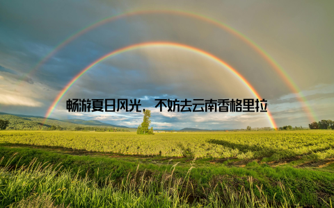 畅游夏日风光, 不妨去云南香格里拉
