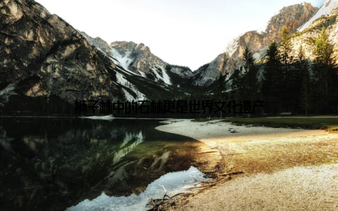 狮子林中的石林更是世界文化遗产