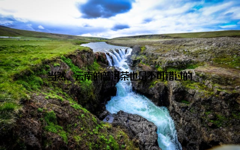 当然, 云南的普洱茶也是不可错过的