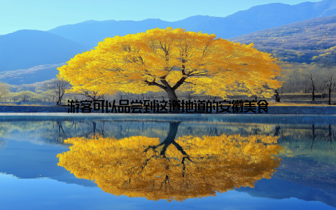 游客可以品尝到这道地道的安徽美食