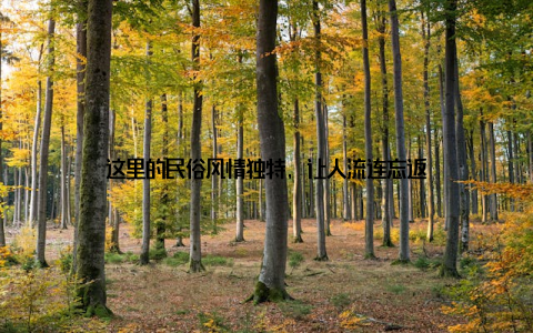 这里的民俗风情独特, 让人流连忘返