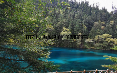 在这里, 我度过了一个美好的午后