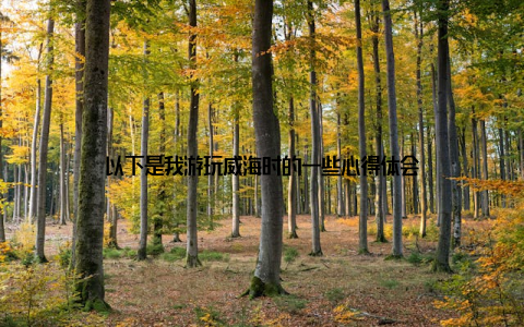 以下是我游玩威海时的一些心得体会