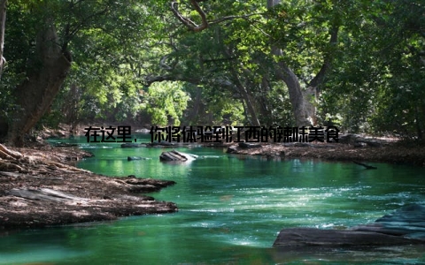 在这里, 你将体验到江西的辣味美食