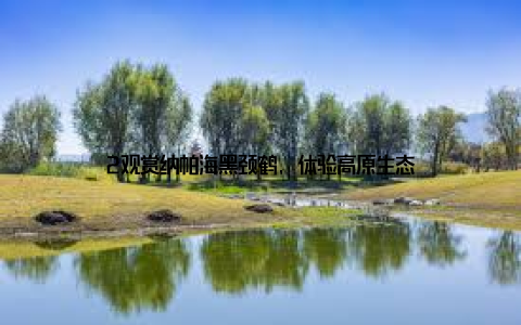 2观赏纳帕海黑颈鹤, 体验高原生态