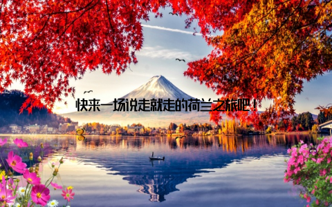 快来一场说走就走的荷兰之旅吧!