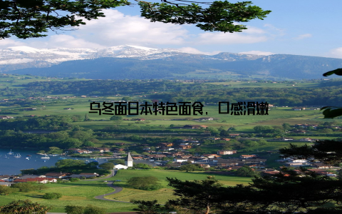 – 乌冬面日本特色面食, 口感滑嫩