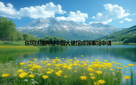 你可以瑞典驻中国大使馆或领事馆申请