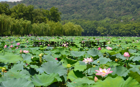 岛内交通以公交车、出租车为主