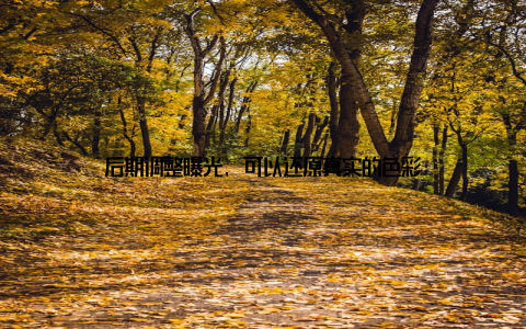 后期调整曝光, 可以还原真实的色彩