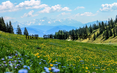 在这里, 你可以尽情沉浸在书海中